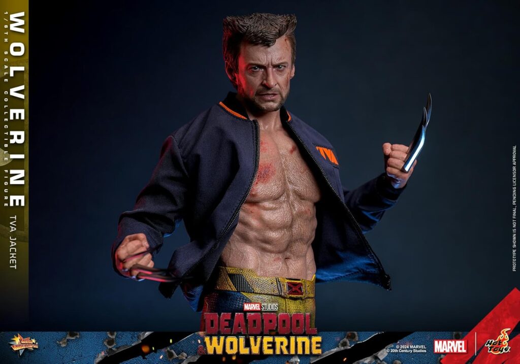 Hot Toys – Wolverine (TVA Jacket Version) 1/6 Scale Figur – MMS756 – Jetzt kaufen